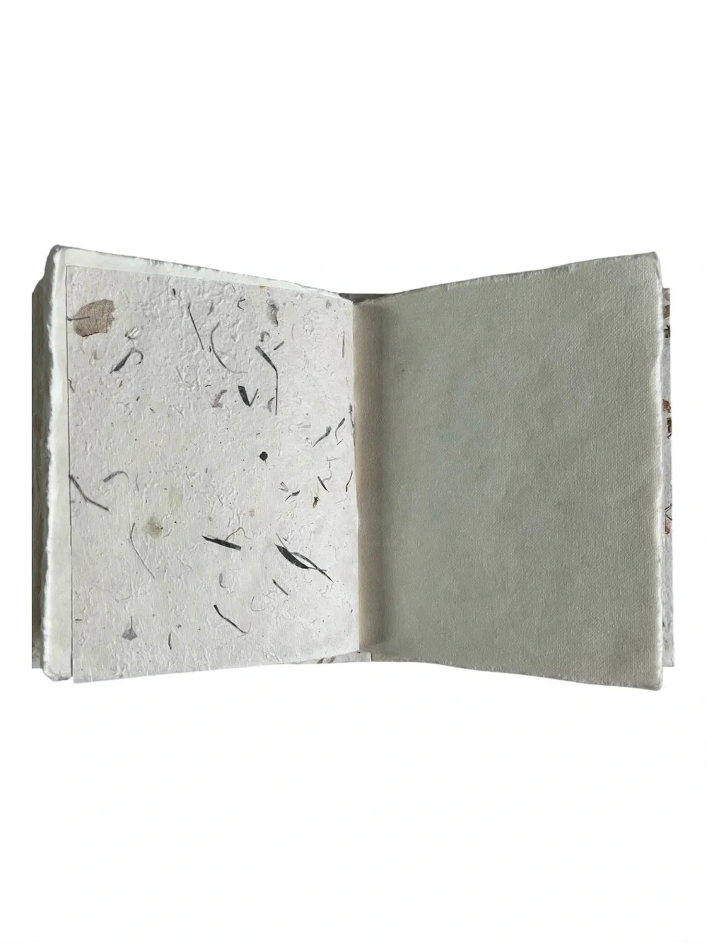 NEW Botanical Memory/Scrapbook with Natural Leaf Accents